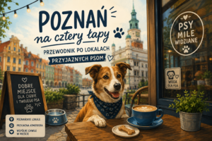 Strona Główna poznań dla psów